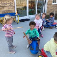 IMG 4478