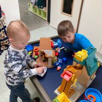 IMG 4537
