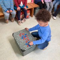IMG 4543