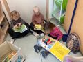 IMG 4792
