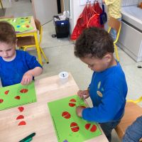 IMG 4817