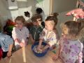 IMG 9252
