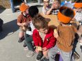 IMG 9275