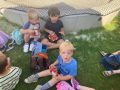 IMG 7332
