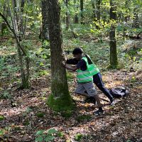 c356ce4b 63be 4ddc bc1c 77d854d3d877