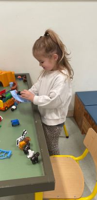 IMG 4876