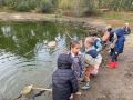 IMG 0087