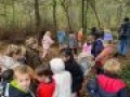 IMG 0047