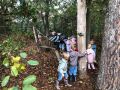 IMG 7993