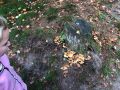 IMG 8005