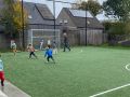 IMG 0129