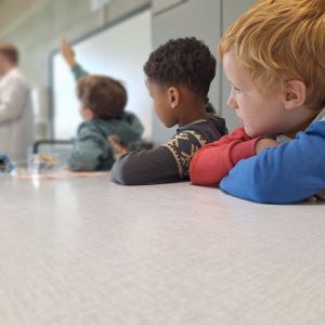 NEWTON...het tweede leerjaar leert over zwaartekracht