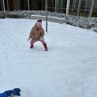 IMG 1549