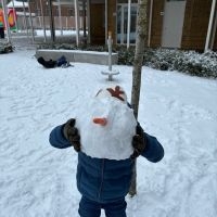 IMG 1551