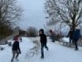 IMG 1556