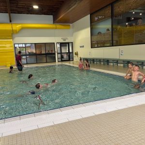 poolberen gaan zwemmen