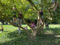 IMG 3801