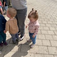 IMG 0811