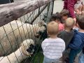 IMG 0816