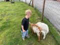 IMG 0827