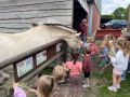 IMG 0836
