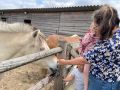 IMG 0842