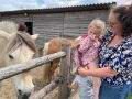 IMG 0843