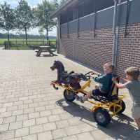IMG 0774