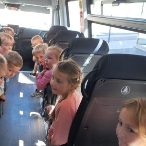 zeeschildpadden naar de academie