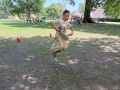 IMG 9688