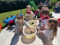 IMG 0943
