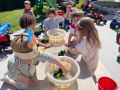 IMG 0949