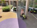 IMG 1012