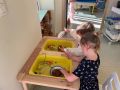 IMG 0194