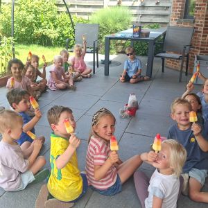 kuikentjesbezoek van de papegaaiduikers