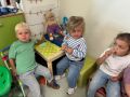 IMG 0846