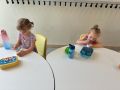 IMG 1115