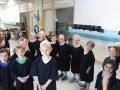 IMG 2962
