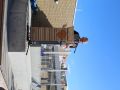 IMG 2994