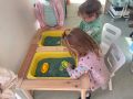 IMG 1289