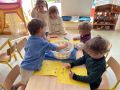 IMG 1316