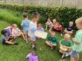 IMG 2567