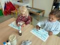 IMG 0867