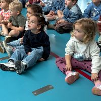 IMG 0875