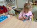 IMG 0928
