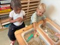 IMG 2339