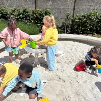 IMG 2351