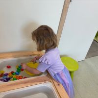 IMG 2518