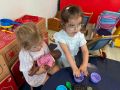 IMG 2525