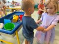 IMG 2532